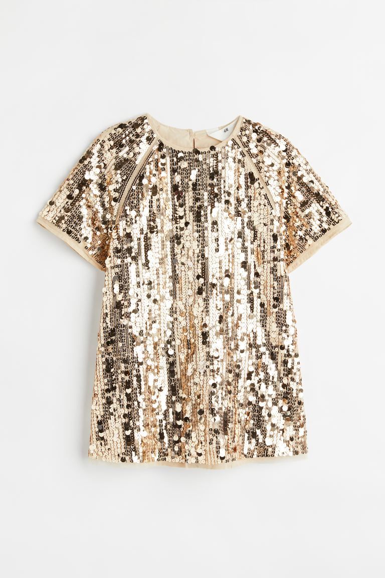 Sequined Dress | H&M (US)