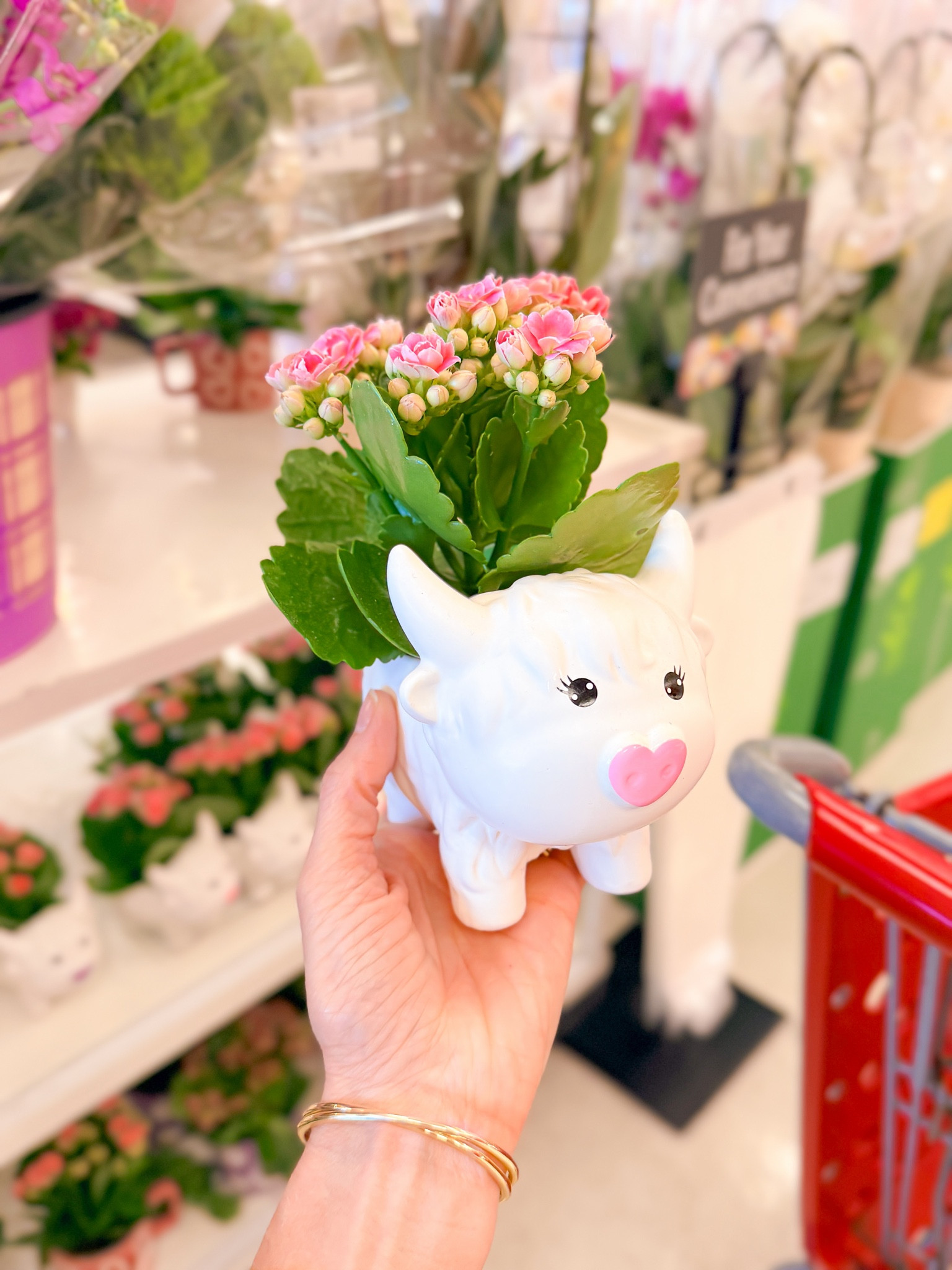 Cutest live plant and pot!