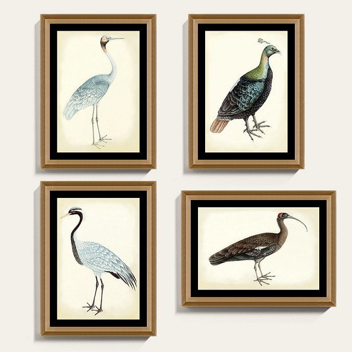 Bunny Williams Bird Deep Oak Framed Print Art | Ballard Designs, Inc.