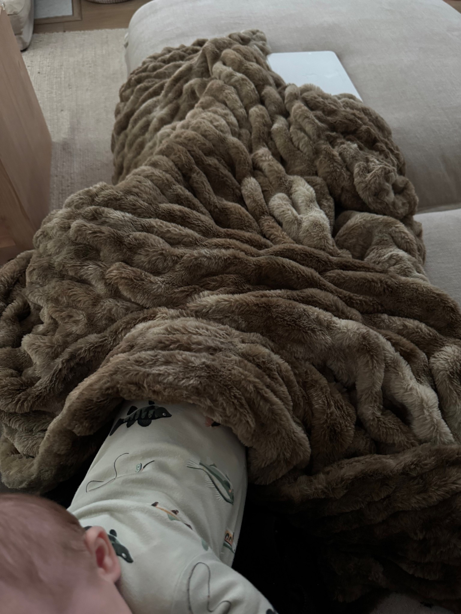 The softest throw blanket for cuddles 

#LTKU #LTKHome #LTKSeasonal