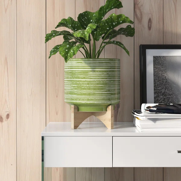 Amysue Ceramic Pot Planter | Wayfair North America
