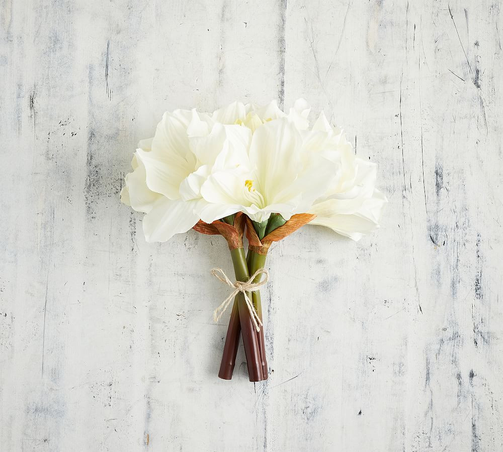 Faux Amaryllis Bundle - White | Pottery Barn (US)