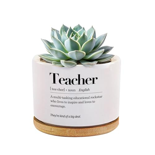 Teacher Definition Ceramic Succulent Plant Pot with Bamboo Tray Round Teacher Appreciation Gifts ... | Amazon (US)