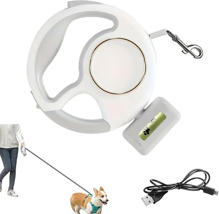 Retractable Dog Leash 10ft/3M - Rechargeable Pet Leash with LED Flashlight One-Handed Brake Ring ... | Amazon (US)