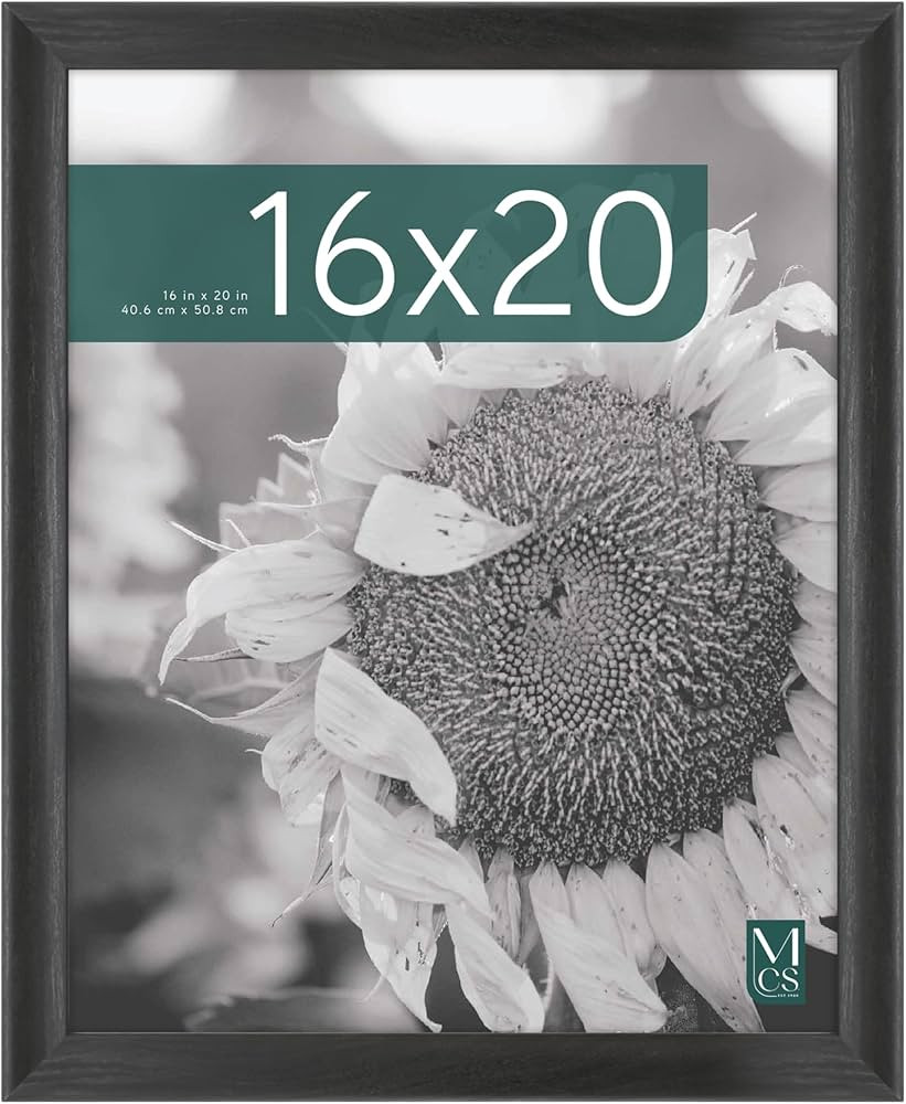 MCS Studio Gallery Classic 16x20 Poster Frame Black Woodgrain, Vertical & Horizontal Wall Hanging... | Amazon (US)