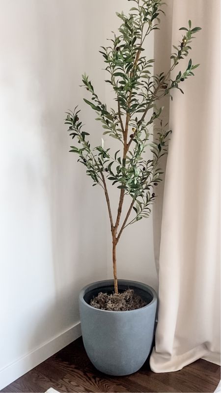 Giving our living room olive tree a little upgrade 🫒🫶🏼
(I got my planter from a local store - but I’ve linked my favorites/similar ones from amazon below!) 
•
•
•
Neutral home decor, living room decor ideas, minimalist home, amazon home finds, Amazon home decor, faux olive tree, simple home decor, home content, lifestyle content, Dutch growers Regina
#fauxolivetree #olivetree #amazonhomedecor #amazonhomefinds #dutchgrowersregina #minimalisthome #livingroomdecorideas #lifestylecontent #homecontent #simplehomedecor #neutralhomedecor 

#LTKhome #LTKstyletip #LTKfindsunder100