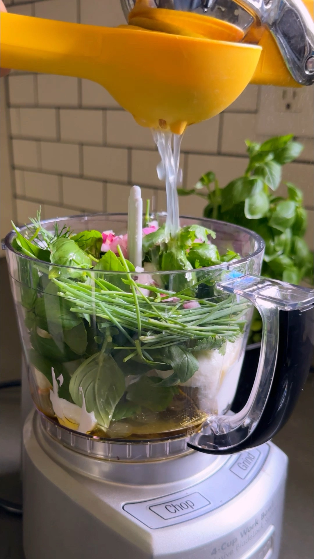 Green goddess dressing made in my favorite mini food processor 🌱🌱🌱 

#LTKGiftGuide #LTKhome #LTKVideo