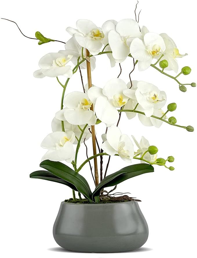 White Orchid Artificial Flowers with Gray Vase Large Silk Faux Phalaenopsis Flowers for Dining Ro... | Amazon (US)