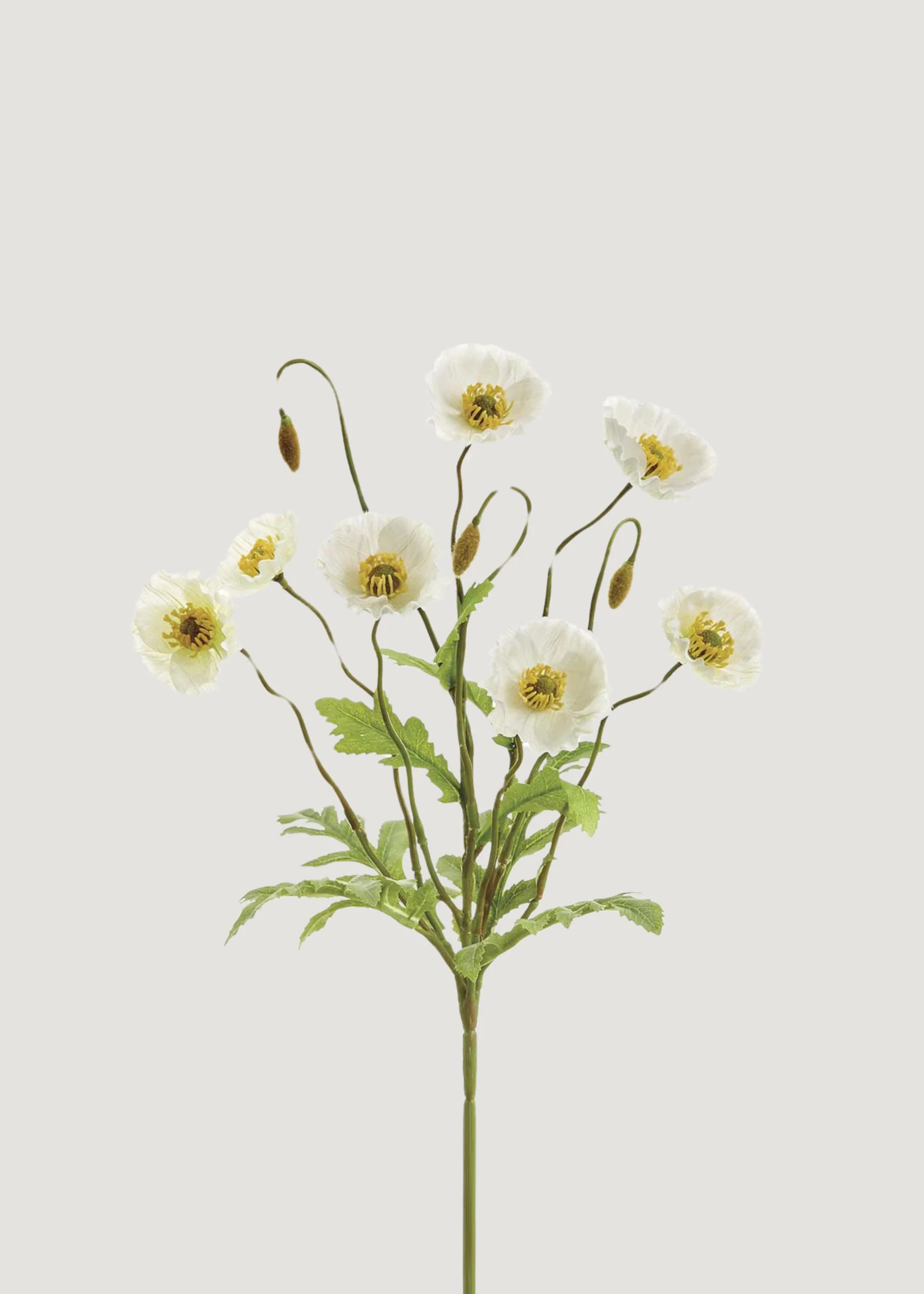 Faux Poppy Bush in Cream | Artificial Blooming Flowers at Afloral | Afloral