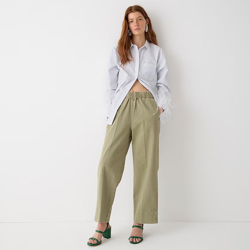 Astrid wide-leg chino pant | J.Crew US