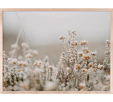 Field Flowers By Annie Spratt | Pottery Barn (US)