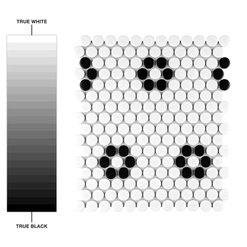 Metro Penny 1" x 1" Porcelain Penny Round Mosaic Wall & Floor Tile | Wayfair Professional