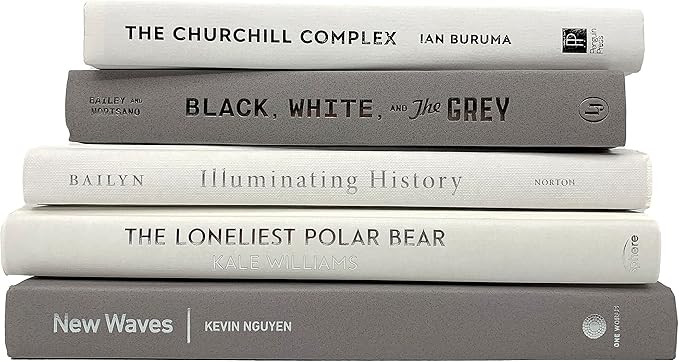 Bundle of White and Light Gray Decorative Books - Staging Books Color Bundle - Cream, Gray and Co... | Amazon (US)