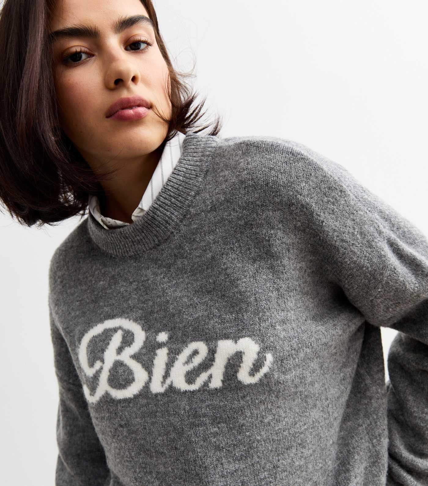 Grey Crew Neck Bien Jumper | New Look | New Look (UK)