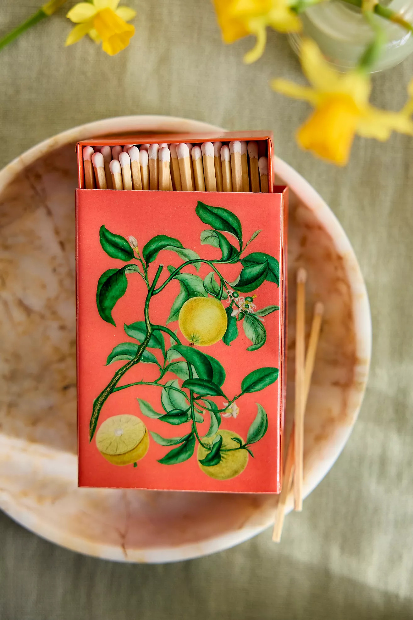 Archival Matchbox | Anthropologie (US)