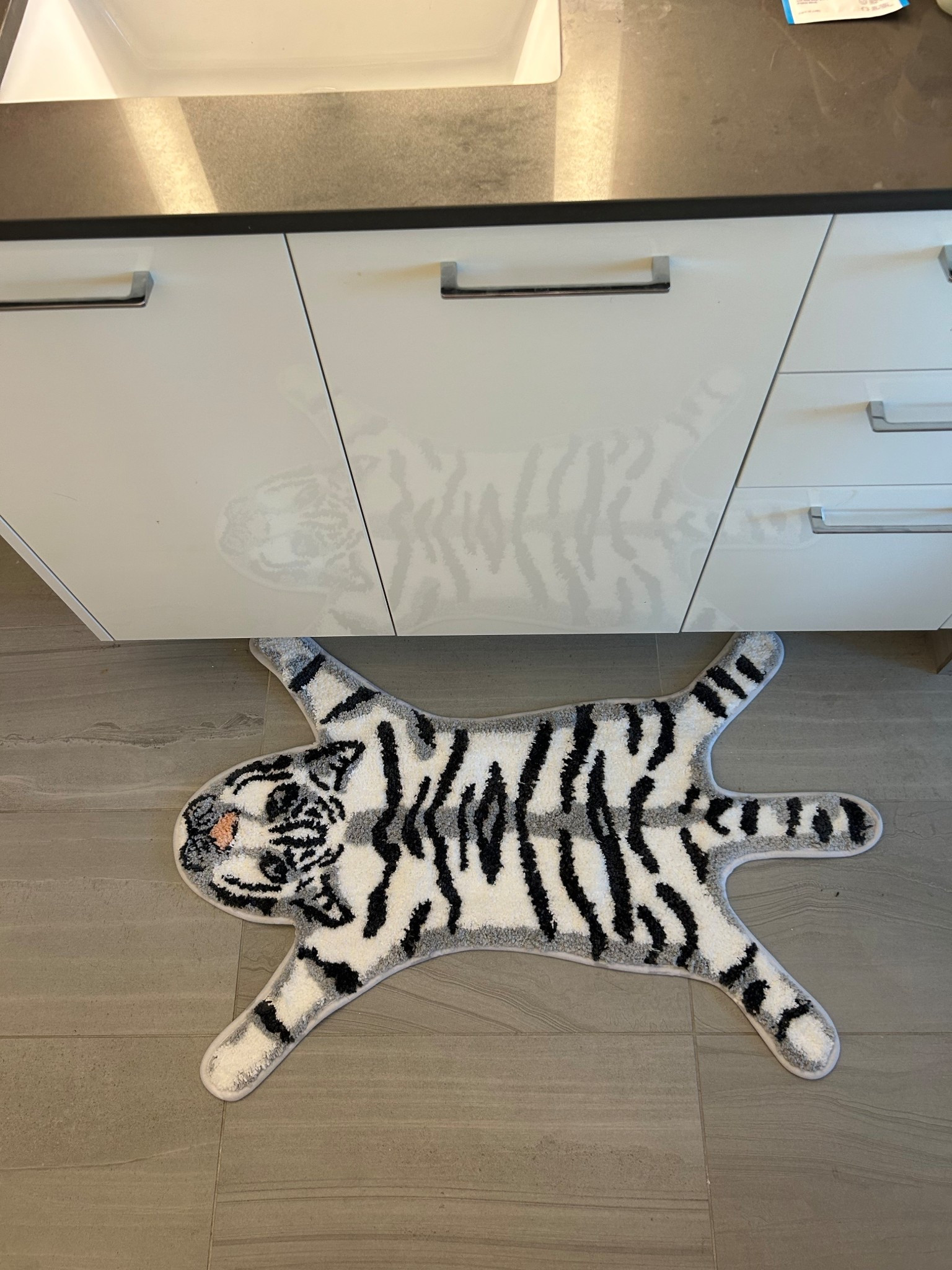 This white tiger rug as a fun little pop to my otherwise, all black and white bathroom ￼

#LTKHome #LTKmorningroutine