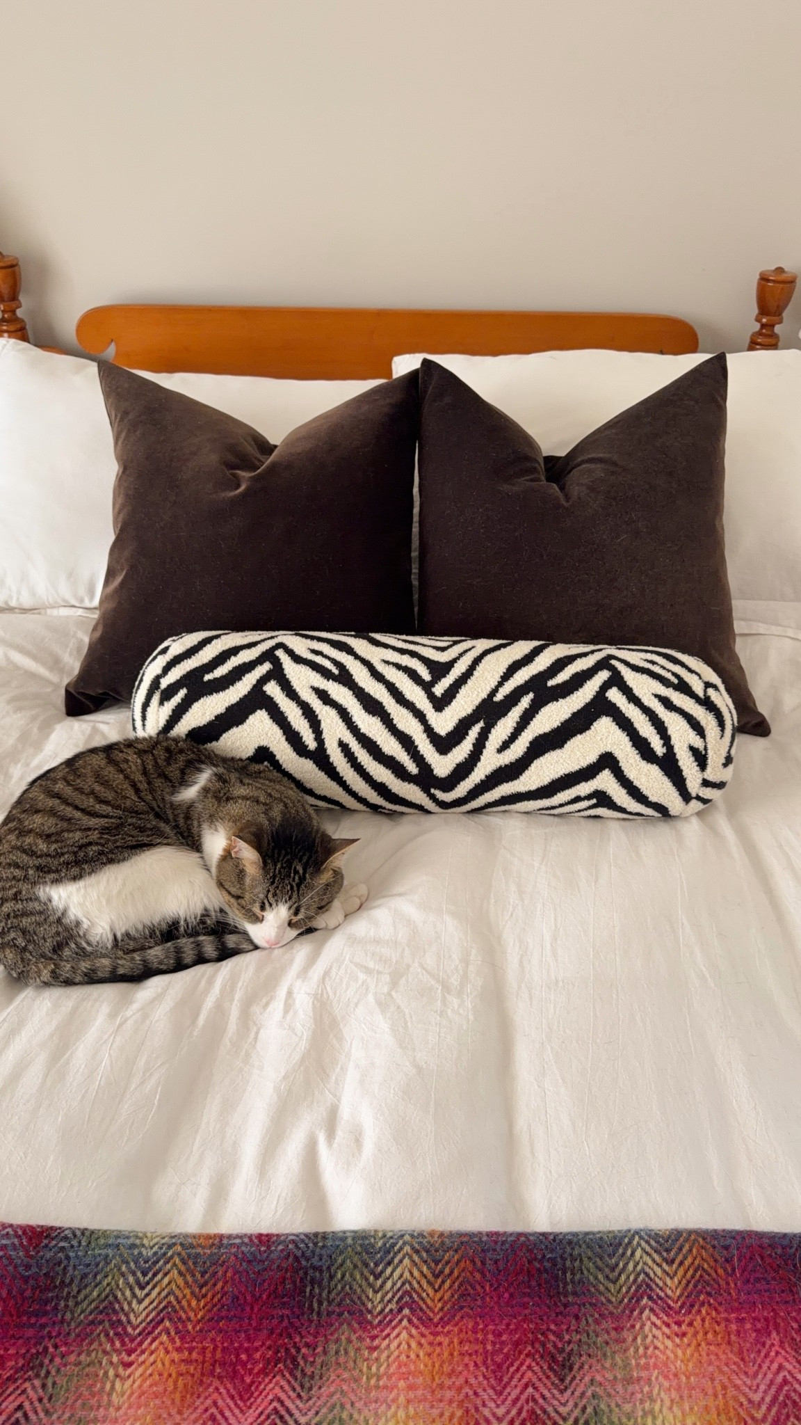Velvet brown pillow covers from Etsy! Perf home decor piece

#LTKHome