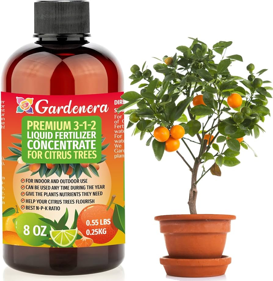Premium Liquid Citrus Tree Plant Fertilizer - 3-1-2 Concentrate for Indoor Plants and Flowers by ... | Amazon (US)