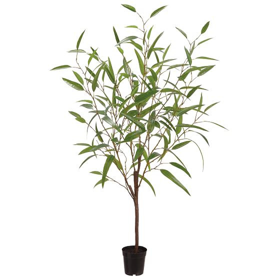 Faux Potted Eucalyptus Tree, Floor, 4', Green | West Elm (US)