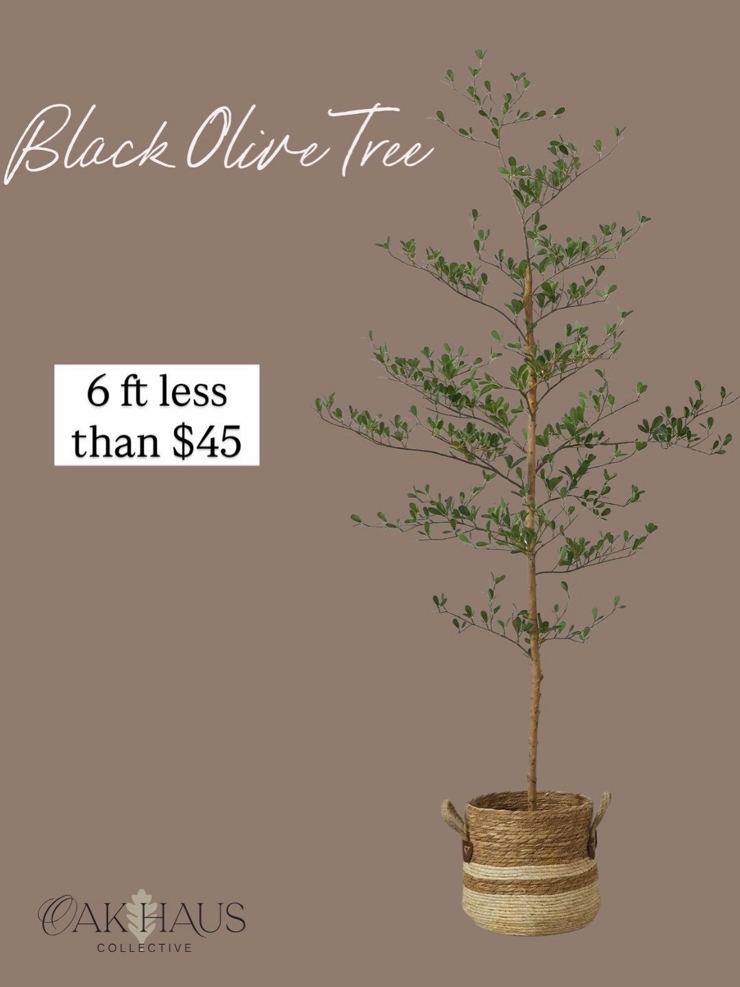 This faux Olive tree is so beautiful and affordable! 

Walmart finds, Olive tree, black olive tree, home finds, affordable
Home decor 

#LTKHome