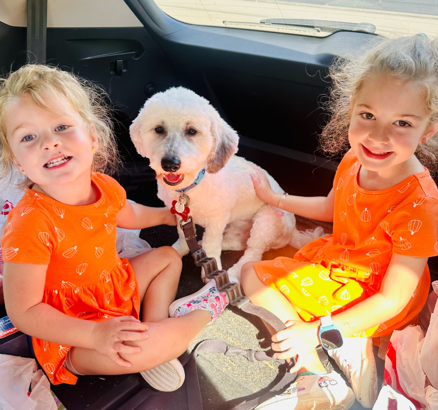 It’s hot in #Pitt but we still want to celebrate the fall! 🎃 this dress is perfect! #targetstyle

#LTKSeasonal #LTKHalloween #LTKkids