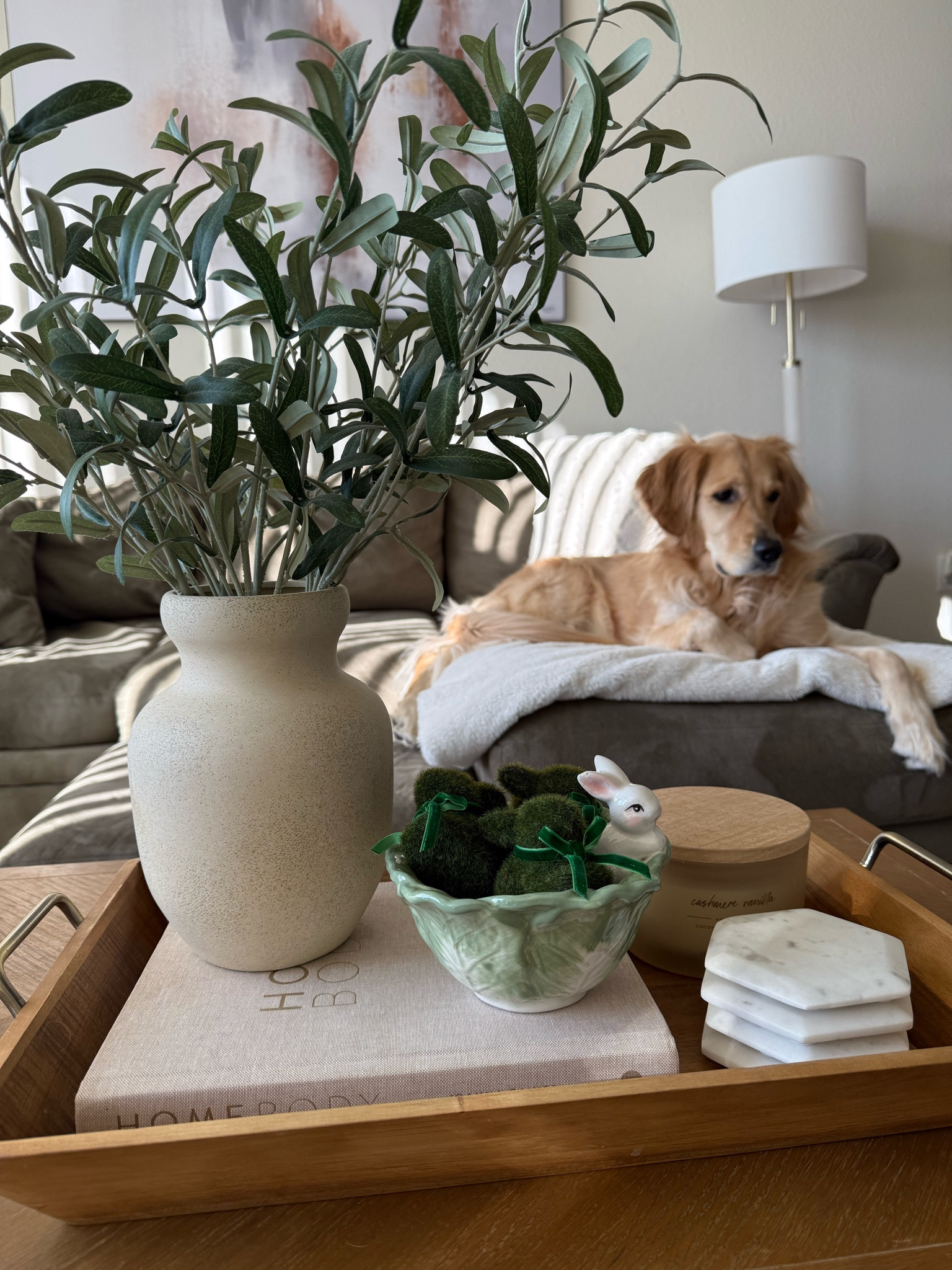 Spring coffee table decor styling 🌿✨ 

Here’s a cute coffee table styling idea using some Target Spring home finds and the most adorable Walmart bunnies! 🐰

I’ll link more of my Target and Walmart home finds below and some new Spring decor that I’m loving! 🌸

#LTKSeasonal #LTKFindsUnder50 #LTKHome
