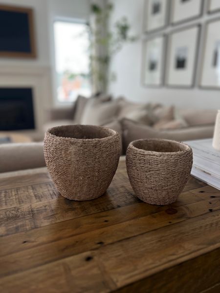 New planters from McGee & Co! Both sizes shown here.
Living room

#LTKhome #LTKunder50