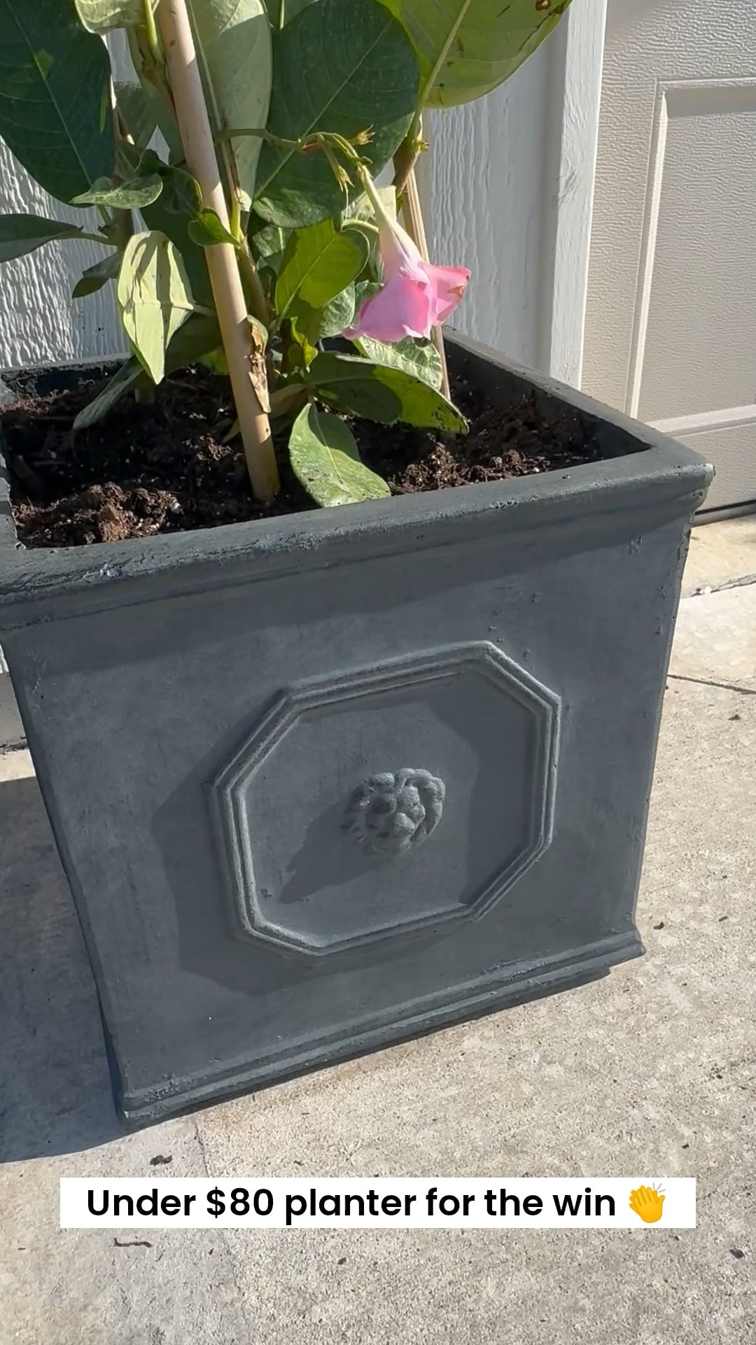 The best planters for my Costco Mandevilla Trellises! I purchased the 12.6” size in antique grey. Multiple colors and sizes are available. 

#LTKHome #LTKFindsUnder100
