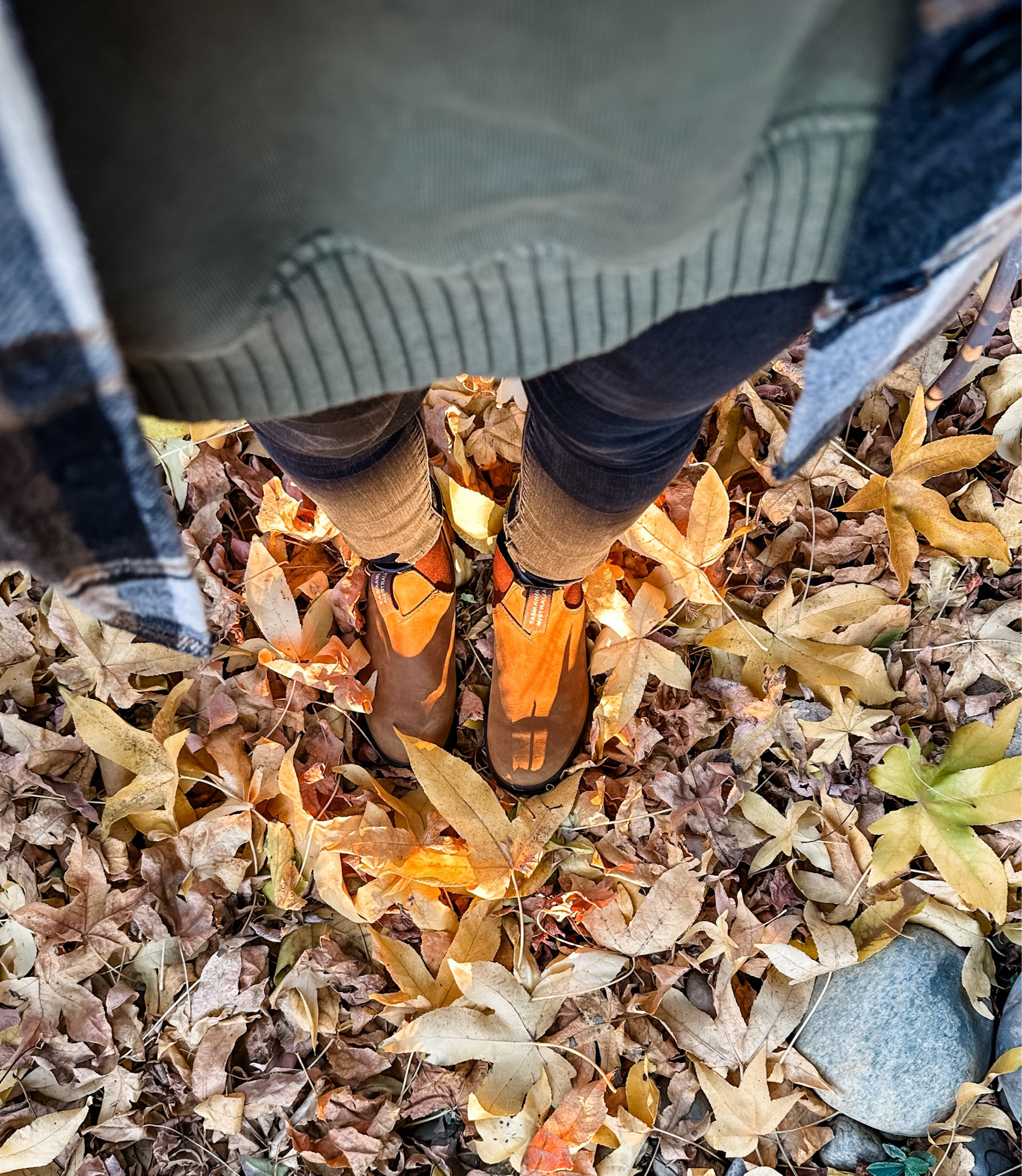🍂🍁☕️🤎

Fall Boots
Fall Outfit
Teacher Outfit
Blundstone Boots

#LTKCyberWeek #LTKfindsunder100 #LTKtravel
