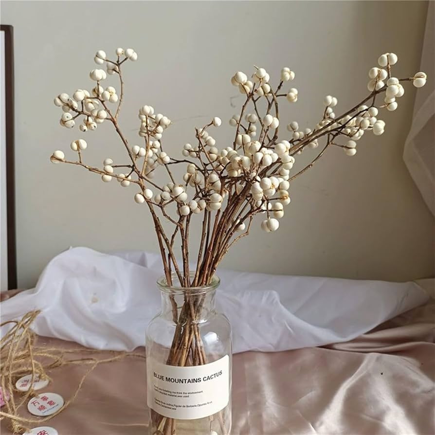 Natural Dried Tallow Berries, Holly Tallow Berries, Dried Plants Floral Decor, Natural Berry Stem... | Amazon (US)