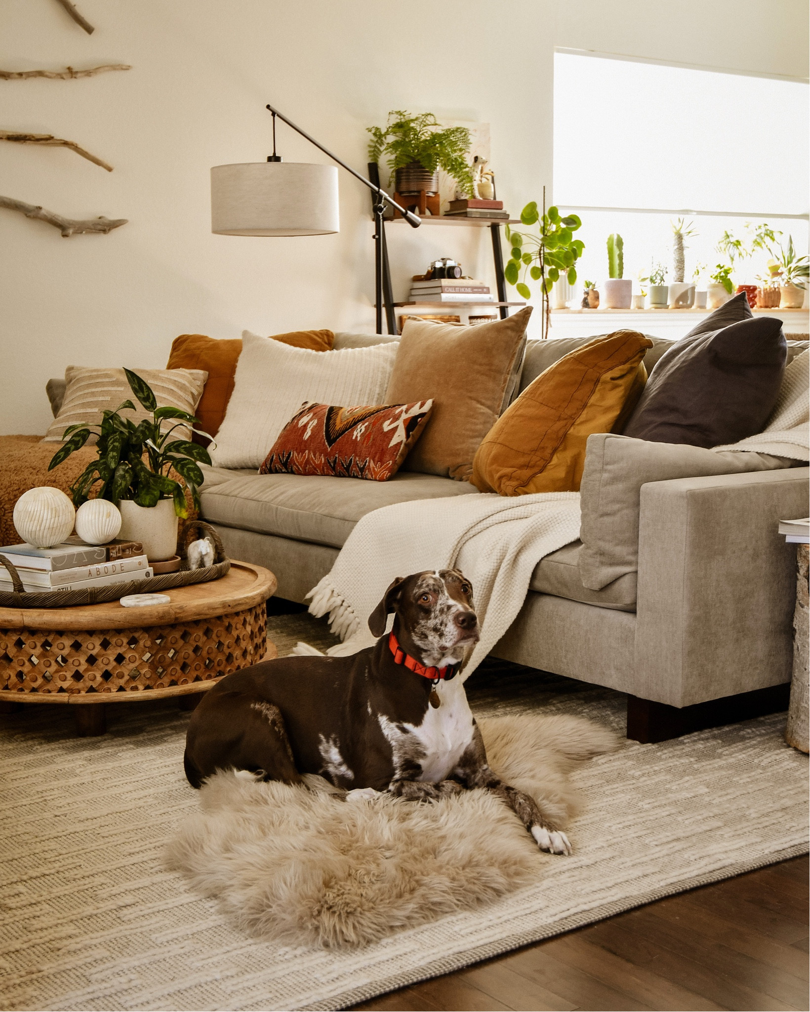 Living room rn 

#LTKhome #LTKMostLoved #LTKSpringSale