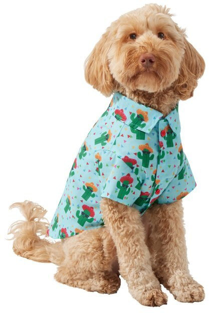 WAGATUDE Cactus Sombrero Print Dog Shirt, 3X-Large - Chewy.com | Chewy.com