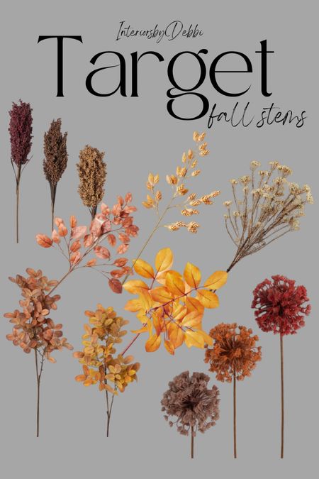 Fall Stems
Fall florals, fall decor, accessories, budget friendly, neutral decor, transitional decor, home decor #target #targetfinds

#LTKFind #LTKSeasonal #LTKhome