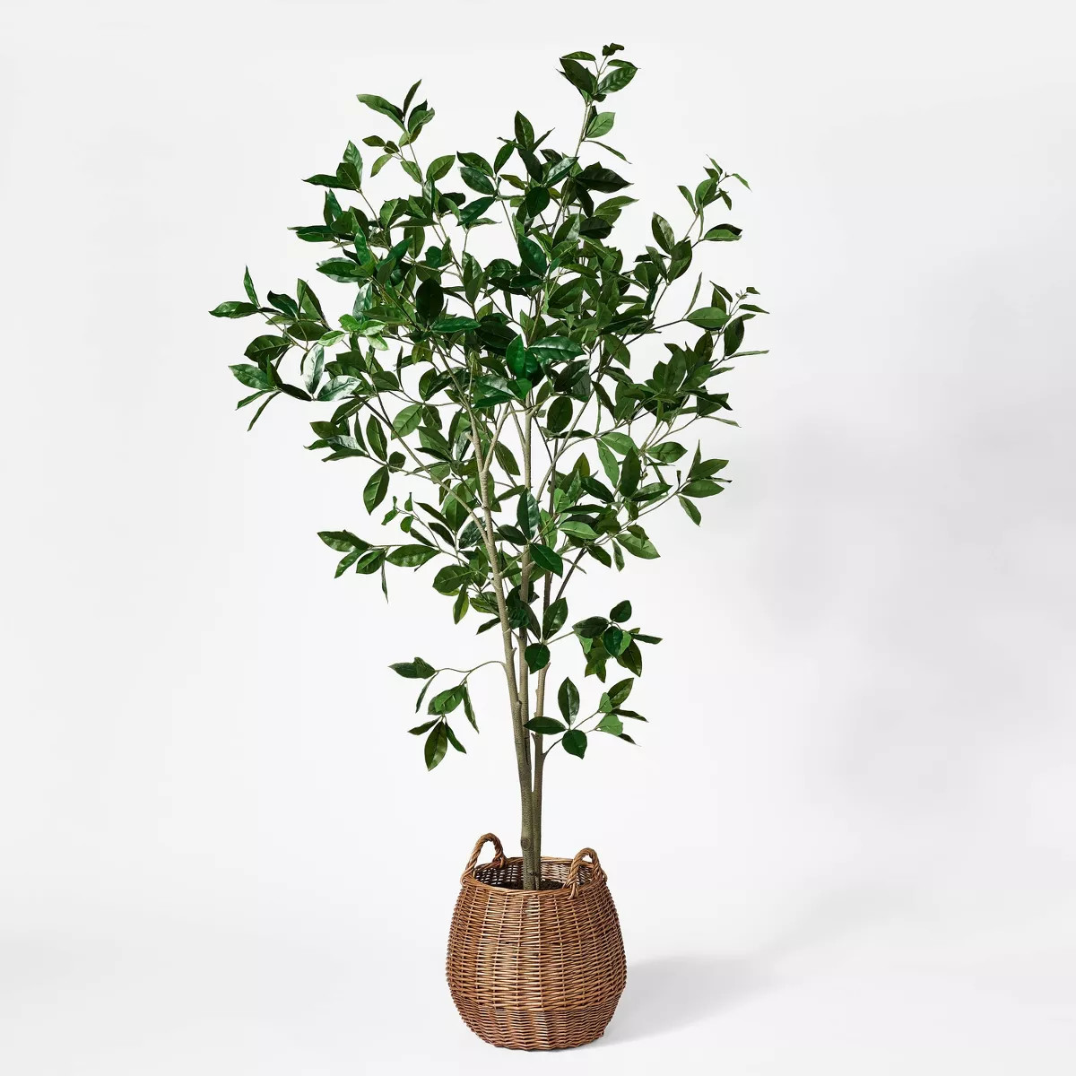Bay Leaf Tree in Basket - Threshold™ designed with Studio McGee | Target