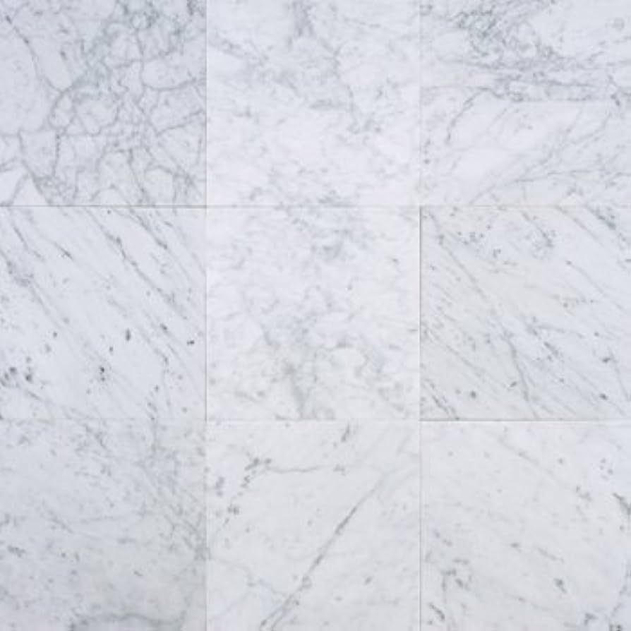 Carrara (Carrera) Bianco Honed 12x12 Marble | Amazon (US)