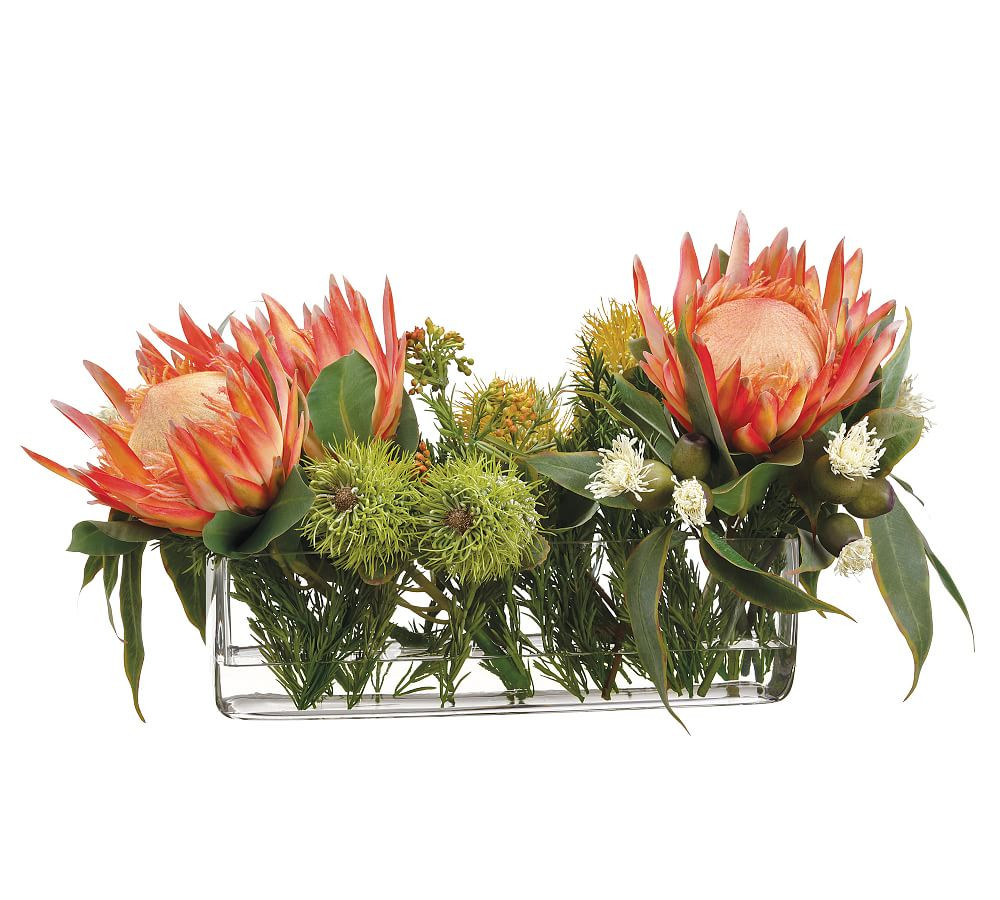 Faux Protea & Eucalyptus Mixed Arrangement | Pottery Barn (US)