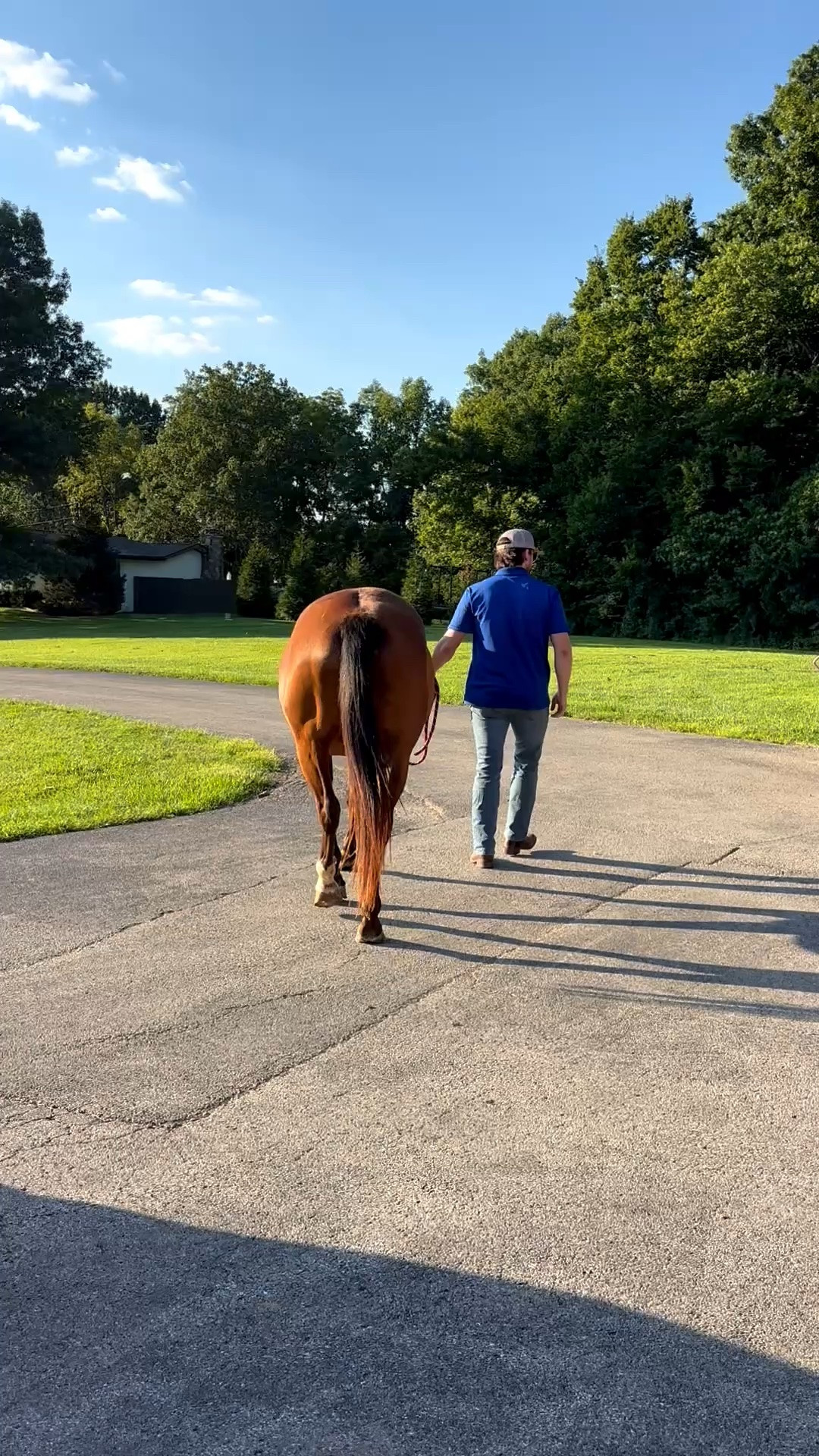 Turned him into a whole horse husband 😂😂 and of course we used the pink trailer 😂 thank you Jilli 🩷

#LTKgrwm #LTKootd #LTKWorkwear