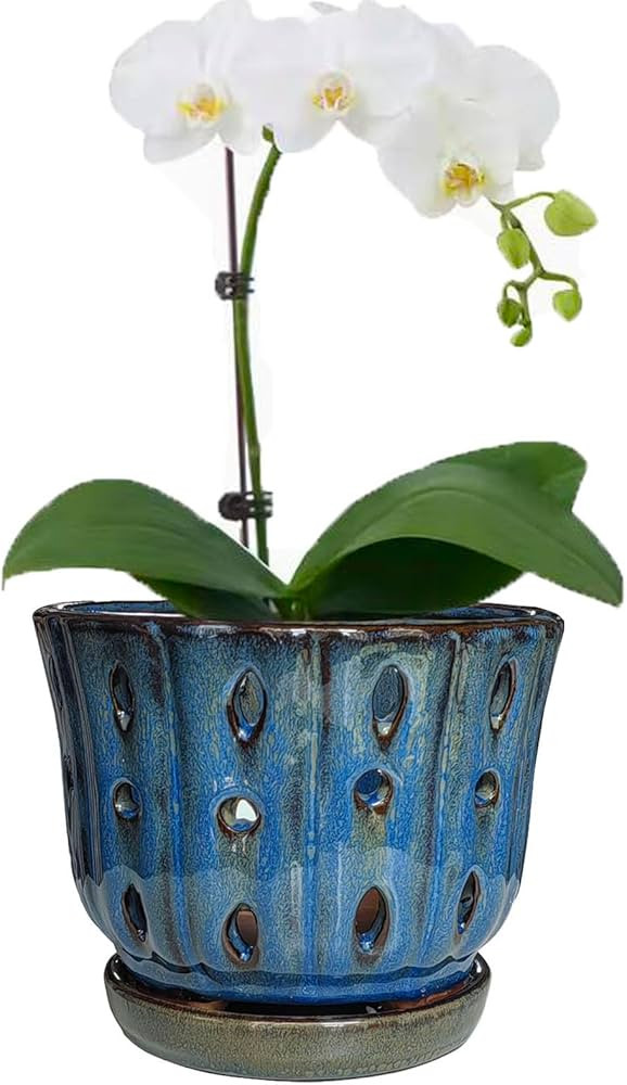 6 inch Round Ceramic Orchid Pot with Holes Orchid Planter (Dark Blue) | Amazon (US)