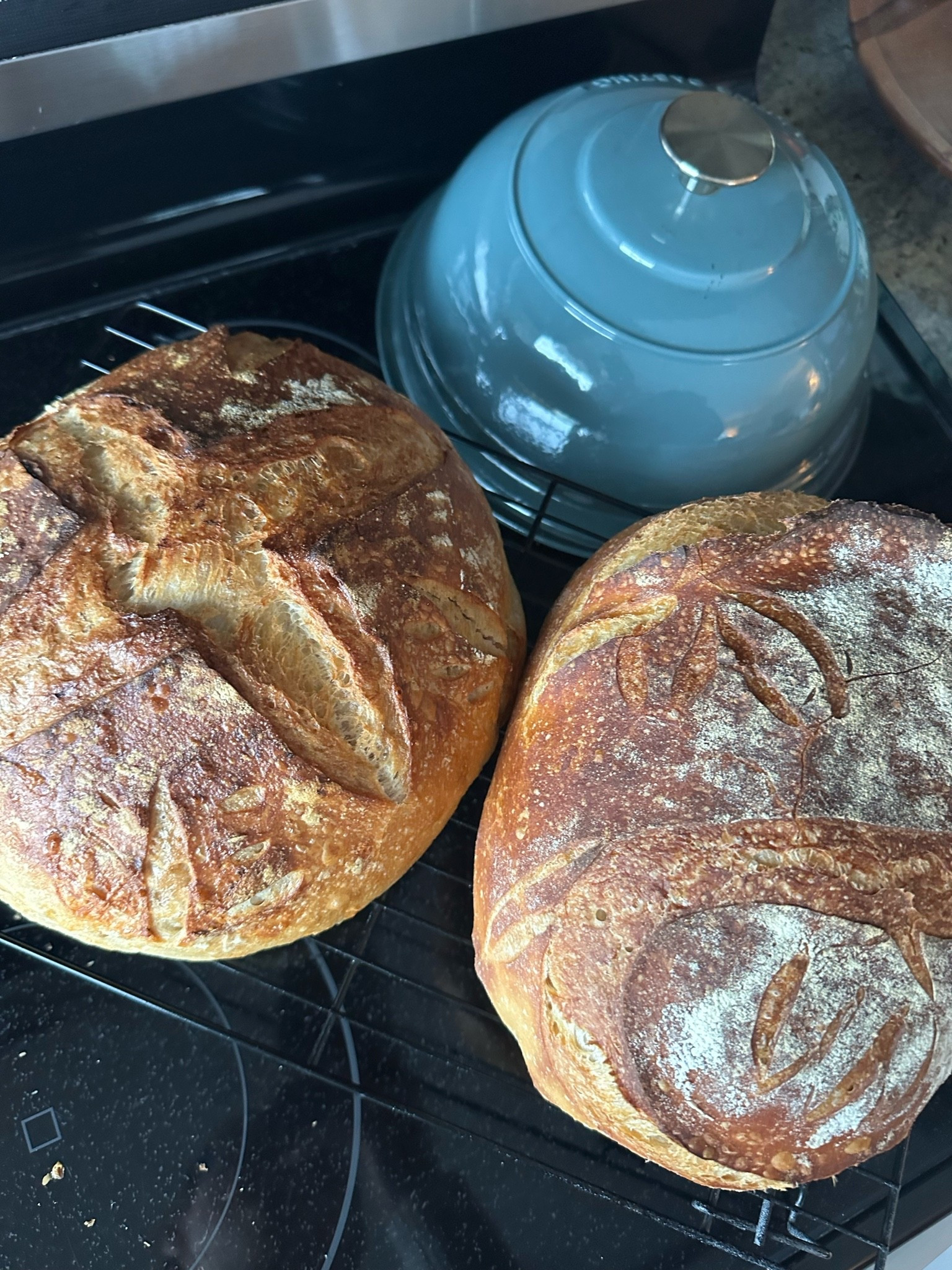 My sourdough starter bread essentials

#LTKootd #LTKfoodie #LTKSeasonal
