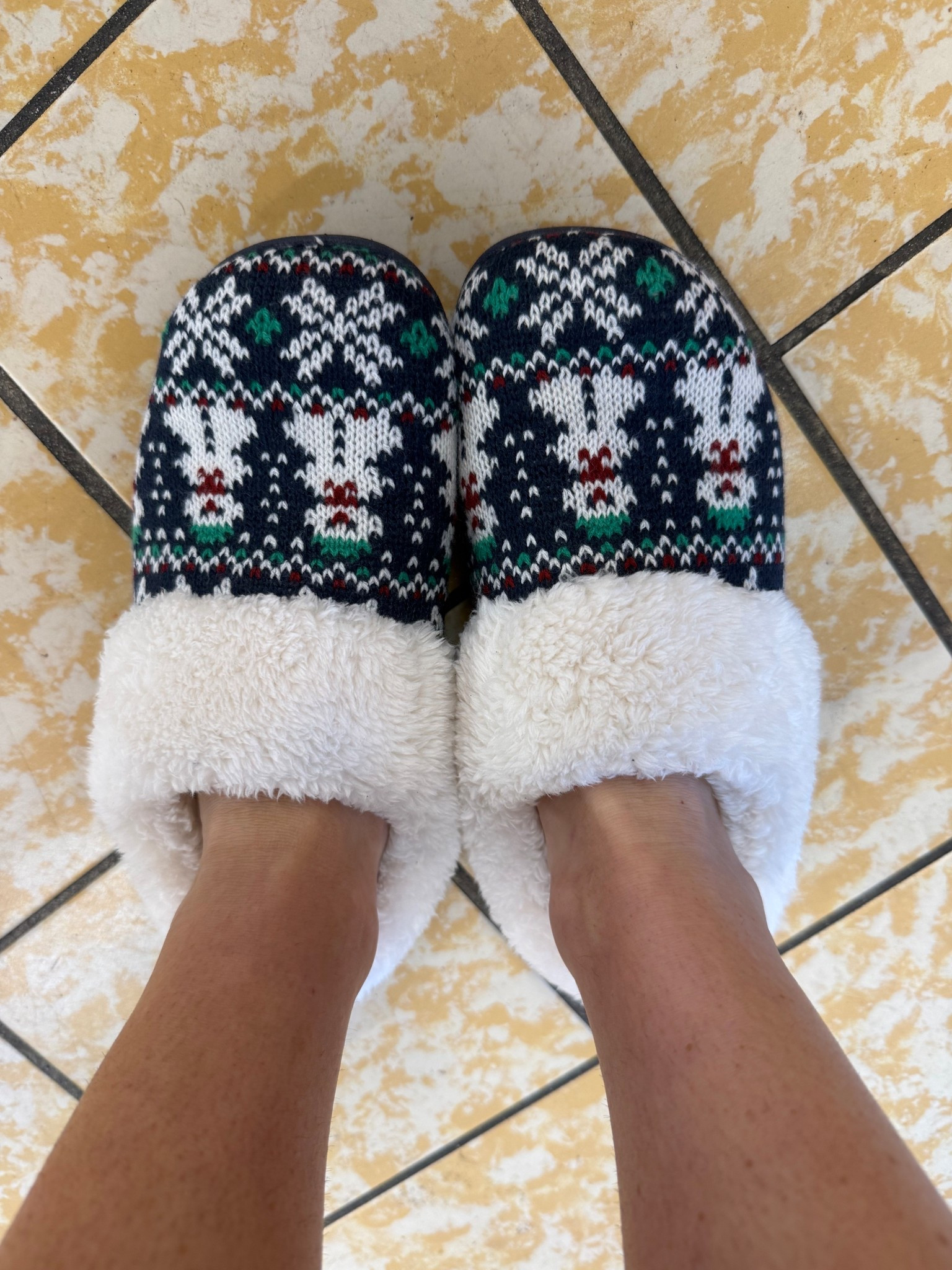 Snagged the cutest holiday slippers 🥰

#LTKSeasonal #LTKFindsUnder50 #LTKootd