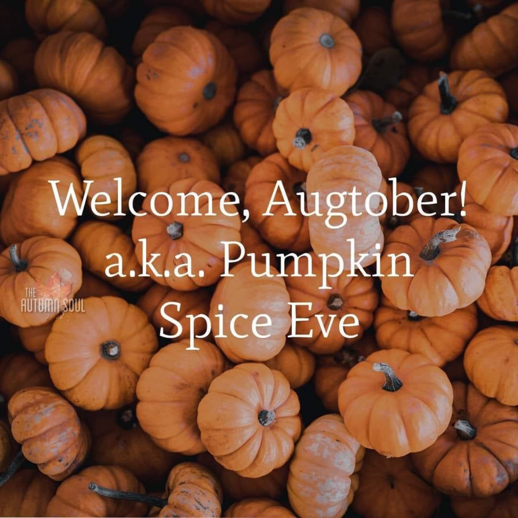 Bring on the pumpkin spice 🍂🎃 shop some of my favorite fall staples! 

#LTKunder100 #LTKSeasonal #LTKunder50