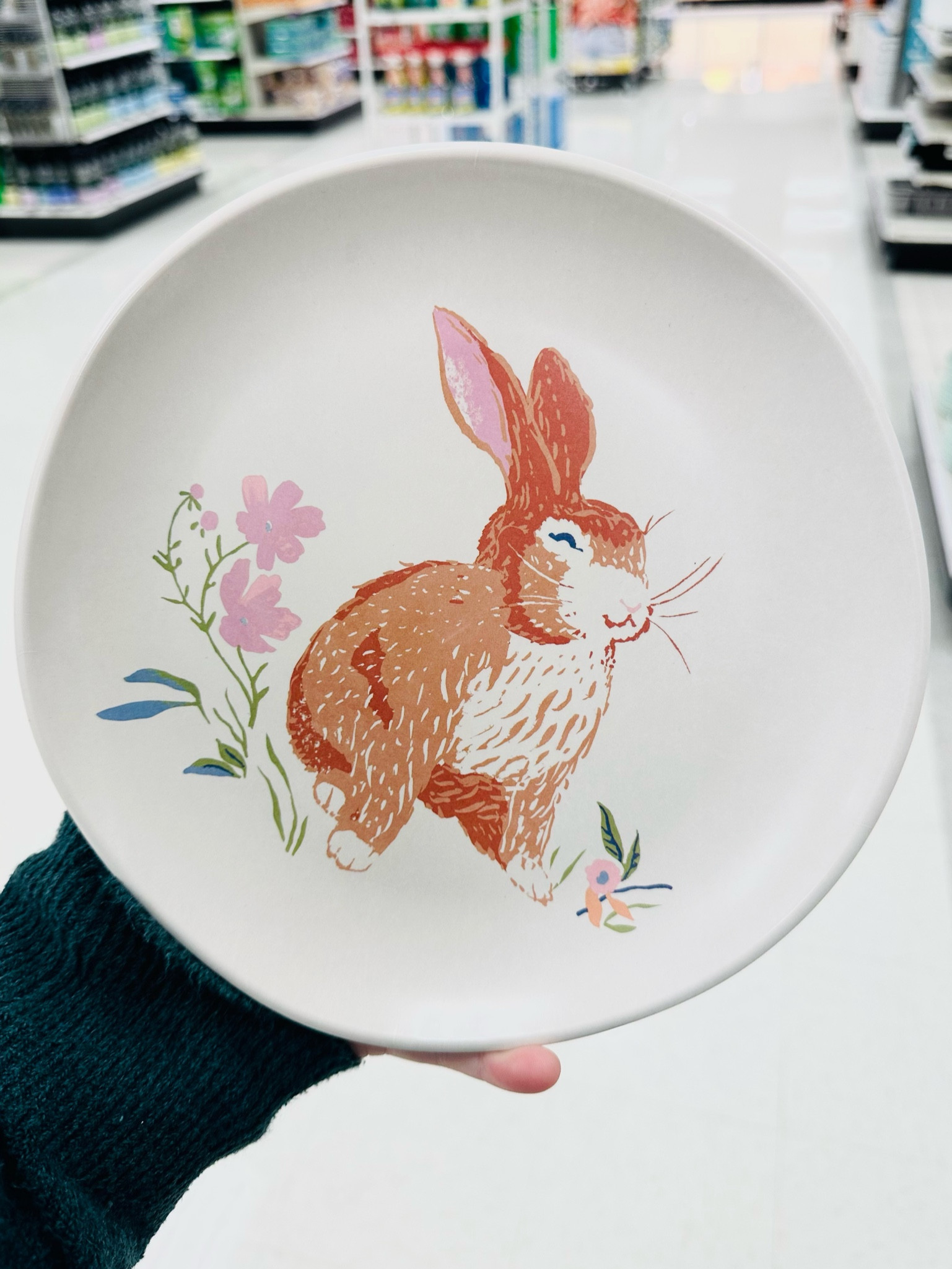 Cutest Easter plates from target!

#LTKsalealert #LTKunder100 #LTKunder50