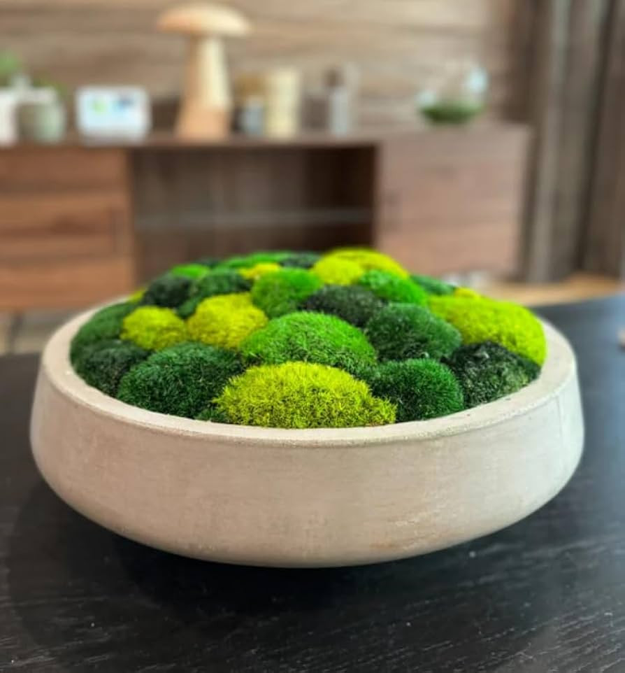 Only Moss No Bowl 4 Color Mix Pack Preserved Pole Moss Pillow Bun Cushion Natural Decorative Gree... | Amazon (US)