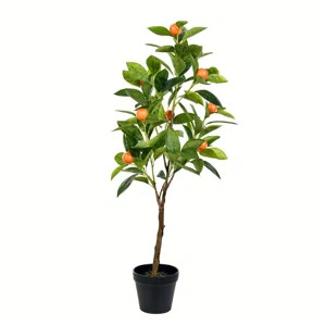 Gracie Oaks Orange Tree in Pot | Wayfair.ca | Wayfair North America