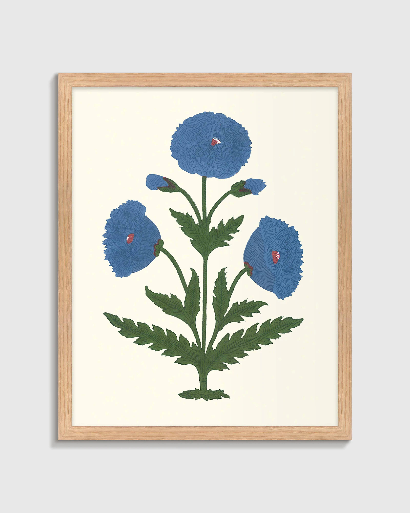 Mughal Poppy Antique Print in Oak | Quince