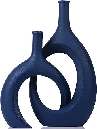 Navy Blue Vase Set of 2 Unique Hollow Bud Vase Pampas Grass vase Ceramics Living Room Decorations... | Amazon (US)
