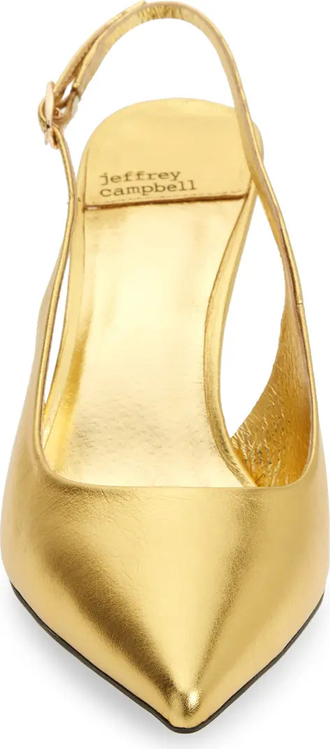 Gambol Slingback Pointed Toe Pump (Women) | Nordstrom