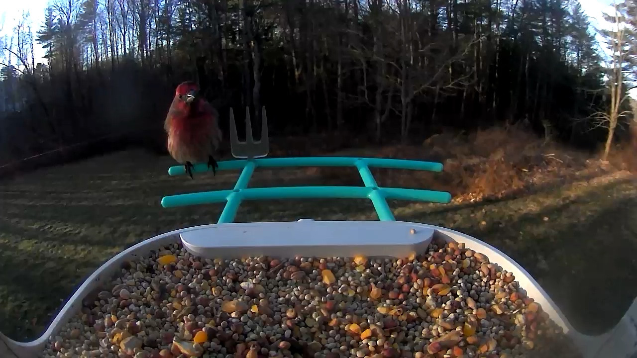 I love both my cameras! Both can be connected to one app! Check them out! 

#LTKGiftGuide #LTKSeasonal #LTKMostLoved