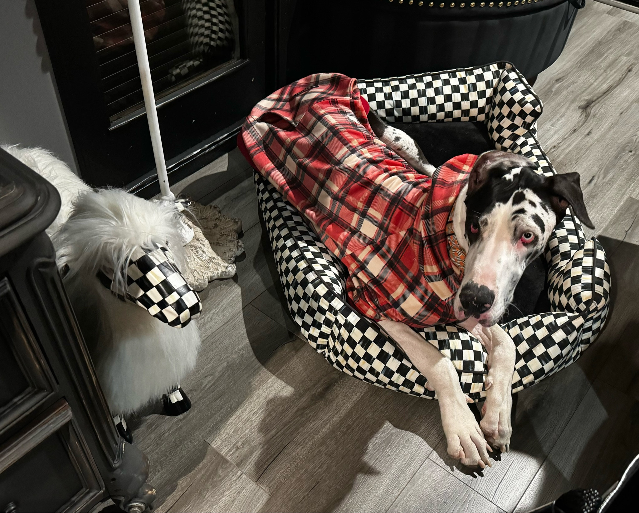 Looks like I’m not the only member in our family obsessed with MC. Our Great Dane, Arthur, loves sitting on this large MC bed. A stylish & great gift for your dog. I’m all about finding items that are still stylish & not an eye sore in my house. It comes in small & medium as well which I linked. I also linked my beautiful sheep 😂. 

#LTKGiftGuide #LTKCyberWeek #LTKhome