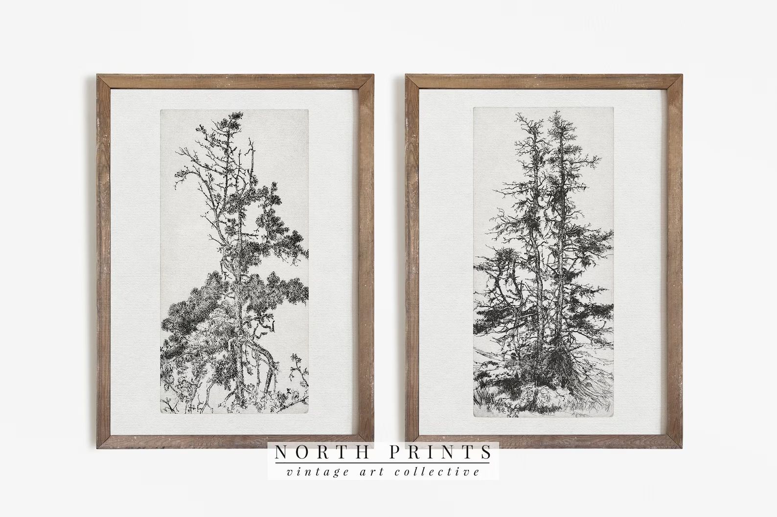 Pine Tree Sketch SET  Vintage Botanical Drawing  Rustic | Etsy | Etsy (US)
